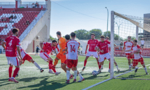 Captura de pantalla 2025-10-06 133517