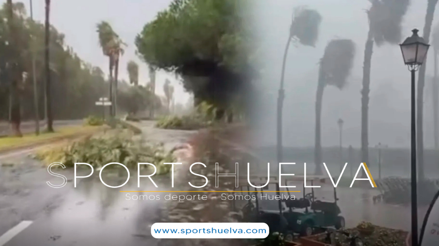 FOTO PORTADA-nuevo - 2025-11-15T090235.441