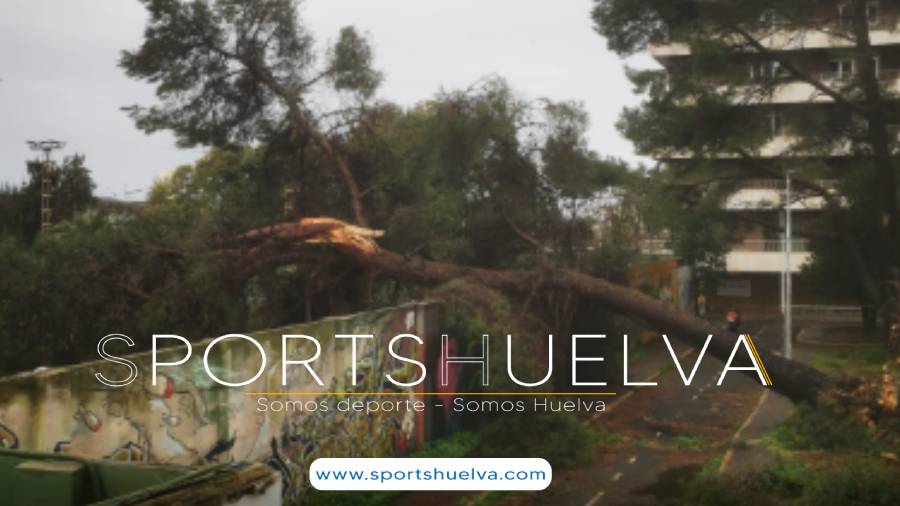 FOTO PORTADA-nuevo (58)